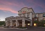 Charlotte Michigan Hotels - SpringHill Suites By Marriott Lansing