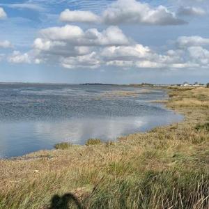 Lovely house with garden near Maldon Promenade