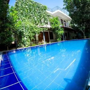 Mirissa Blue Whale Holiday Hotel