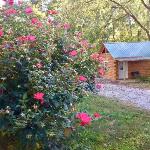 Kozy Haven Log Cabin Rentals Kentucky