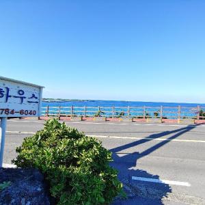 jeju thehouse pension