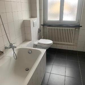 Im Zentrum der Schweiz 3 Zimmer Apartament 