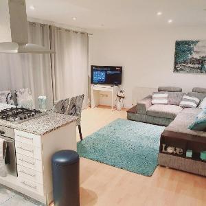 Luxury Apartment Canary Wharf - free parking.