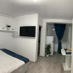 Cozy Studio Apartment Zalau