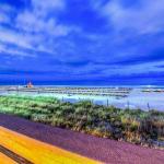 tidewater 903 Florida