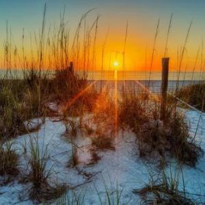 Loggerhead Cay #401