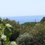 Exclusive Cottages are in S West Crete in a quiet olive grove near the sea Crete Island