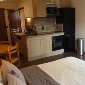 Les Pucines studio standing 29 m2 rez de jardin climatisation plein sud