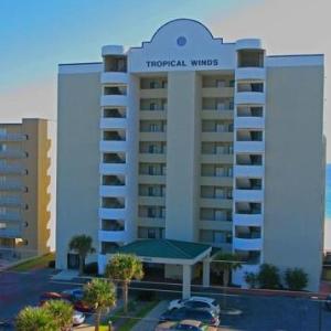 Tropical Winds 603