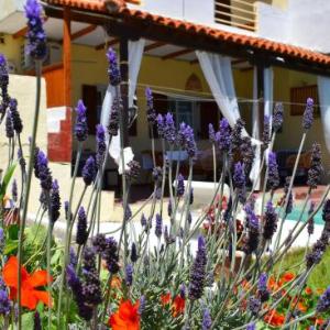 Villa Krini