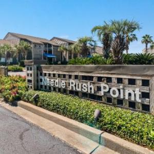 Needle Rush Point Unit D32