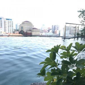 Tropical Macalister 218  Georgetown  (M285 WL)