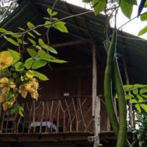 Sigiri Panaromic Tree House