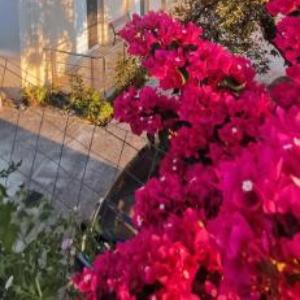 Apollon's Apartments
