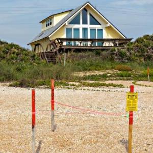 Sea Turtle Retreat by Teeming Vacation Rentals