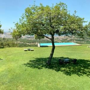 Apartman Livada Bar