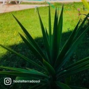 Terra do Sol Pousada e Hostel