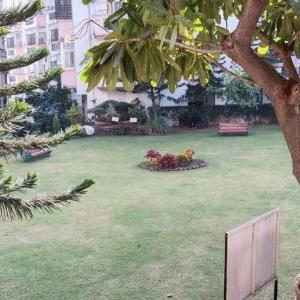 Lovely 1 bedroomed apartment in a green compound.