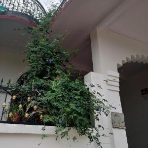 Kairali Ayurgram