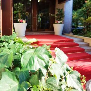 Garden Hotel Michelangelo