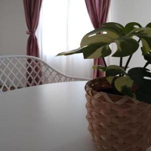 Apartmani Kale