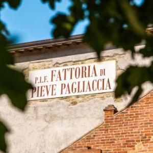 Fattoria di Pieve Pagliaccia - Cantina Brugnoni