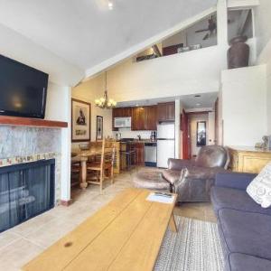 209 Ski Lodge 2BR condo