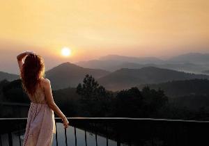 Poetree Sarovar Portico, Thekkady, Thekkady