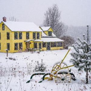 Hotels near Shelburne Museum - Bark Eater Inn