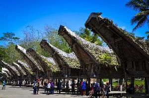 Wisma Papa Tia Toraja, Tana Toraja