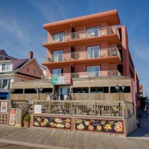 Hotels near Seacrets - Americana Motor Inn on Boardwalk