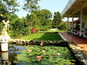 Grand Oak by Olive Stay, Nagarhole