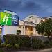 Gogue Performing Arts Center Hotels - Holiday Inn Express Hotel & Suites Auburn - University Area
