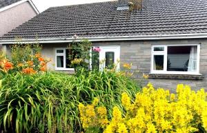 Heddfan - Near to Beach, Pet Friendly, Saundersfoot