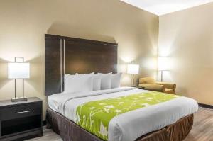Econo Lodge Opelika, Opelika