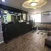 Hotels near Belson Stadium - Best Western Jamaica Inn