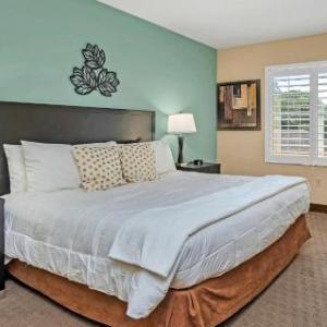 Near Disney - 1BR Executive Suite with King Bed - Pool and Hot Tub!