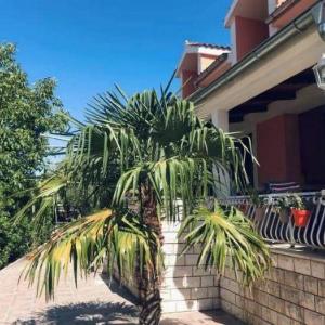 Apartments and Room Agiss with pool