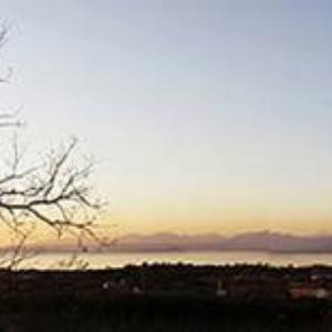 Villa Calicantus