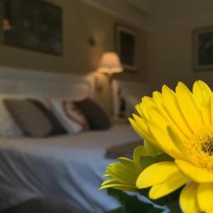 Cornell Hotel