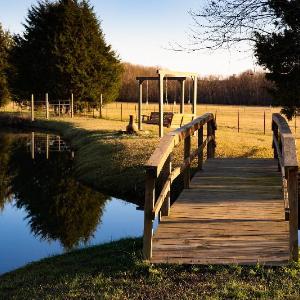 Moon Lake Farm