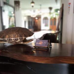 Hotel Alma Maya