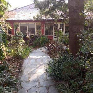 The Jungle Bungalow #Bella Finestra