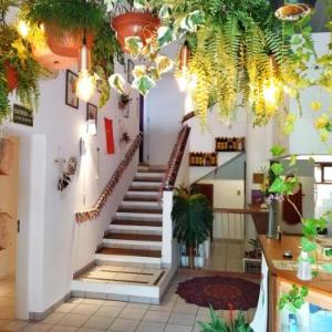 Nômades Vibe da Ilha - Adventure Hostels