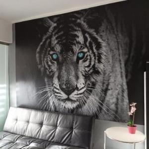 Apartament Tygrys