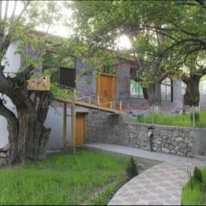 Fairy Garden & Resorts