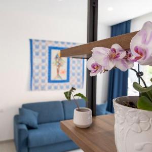 Suite Pino in appartamento centro storico Sorrento