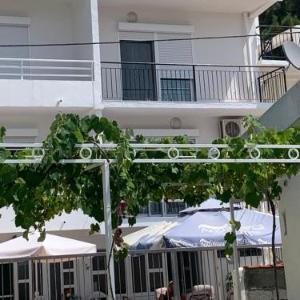 Apartman Ana Zeleni pojas