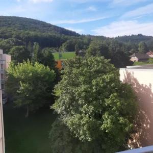 Weitblick