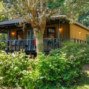 Japanese Teahouse with Wraparound Deck and Garden View